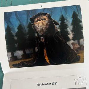 Taylor Swift Cat Calendar 2024